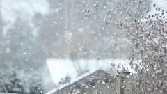 Сніг 23 березня 2013