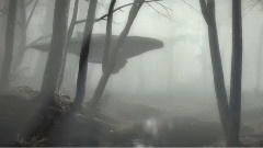 Безопасный и свободный