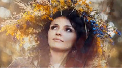 Beauty In Magic Forest
