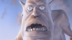 Tolerantia