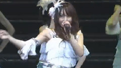 シャムネコ