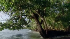 Mefomd Island