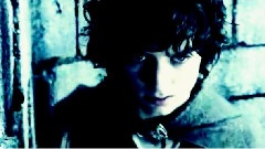 Animus Vox