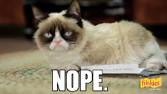 Grumpy Cat Returns!