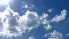 Sunlight