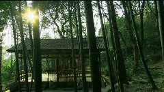 一念心清净