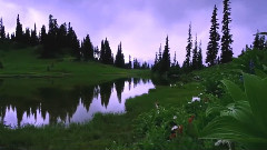 The Sound Of Still Water
