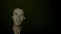 Lost Animal - Lose The Baby