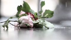 If You Love Her