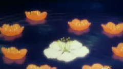 芦笛舞曲