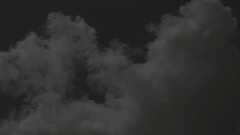 Flight