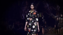 Once Upon A Time Dolce & Gabbana FW 2014-15 An Enchanted Forest
