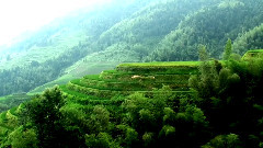 龙脊梯田