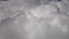 A Summer Rain