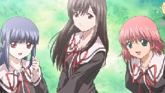 奇迹のかけら