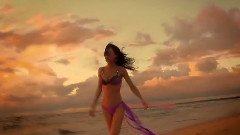 Free Your Soul