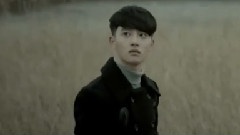 视频合集