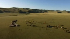 The Beautiful Grassland Is My Home