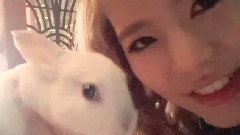 Sunny Ins 更新