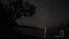 Bioluminescence on Camera