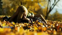 The Breath Of Autumn...(Accordion Music)