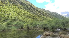 美丽的黄龙