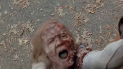 Carl Poppa