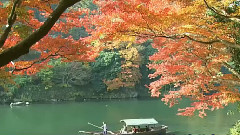 相见