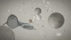 Lost Forest