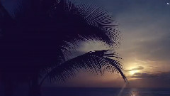 Wander In Paradise
