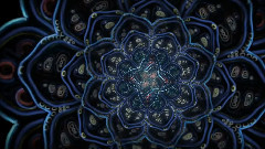 Cosmic Flower Unfolding