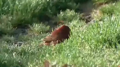 窗风的话