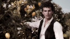 Dolce Gabbana Dolce,The Perfume - The Director's